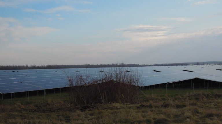 Weites Feld mit Photovoltaikmodulen bis zum Horizont, im Vordergrund Gras und ein Zaun