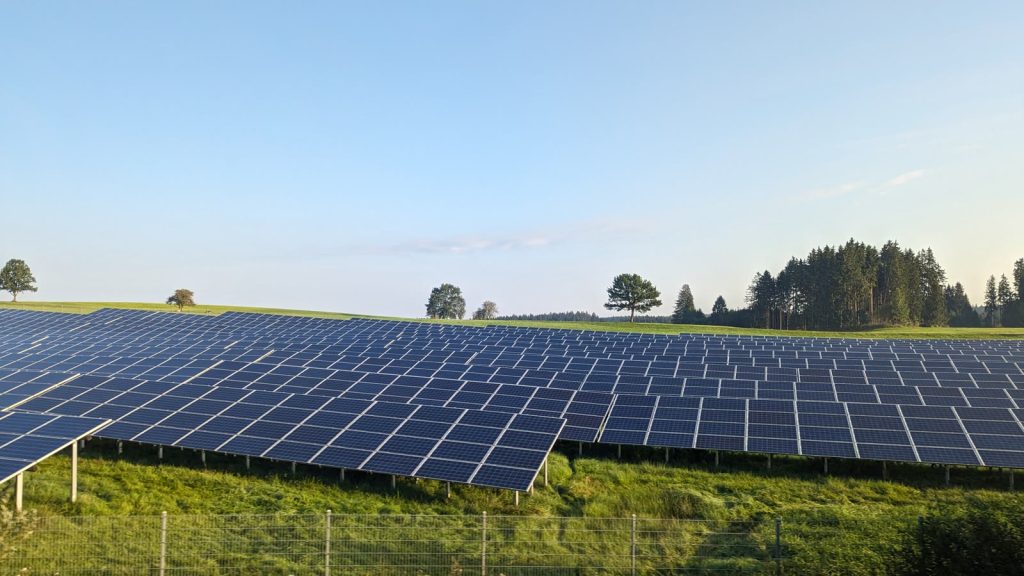 Reihen von Solarmodulen einer Freiflächen-Photovoltaikanlage auf einer Wiese, dahinter Bäume und blauer Himmel.