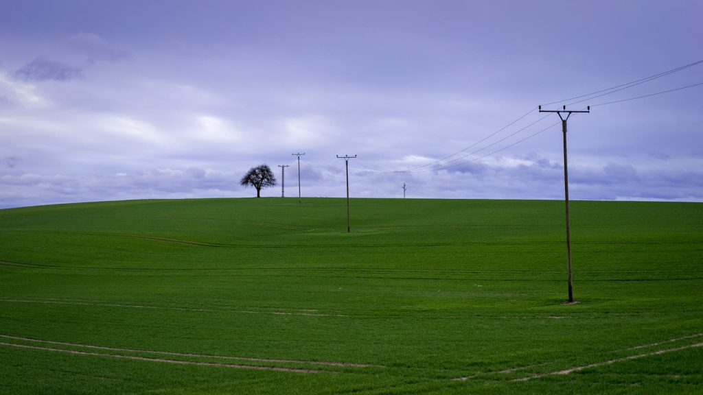 Weites grünes Feld im Kraichgau bei Bad Rappenau-Obergimpern mit einem einzelnen Baum und einer Stromleitung unter bewölktem Himmel.